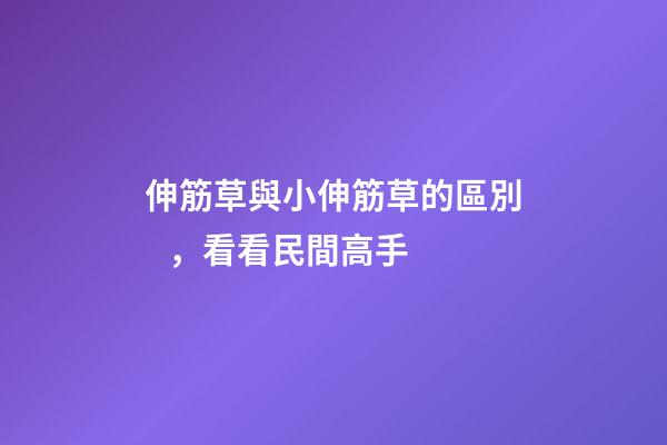 伸筋草與小伸筋草的區別，看看民間高手
